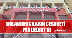 Dolandırıcıların cesareti