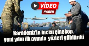 Karadeniz’in incisi çinekop, yeni yılın ilk ayında yüzleri güldürdü