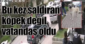 Bu kez saldıran köpek değil, vatandaş oldu