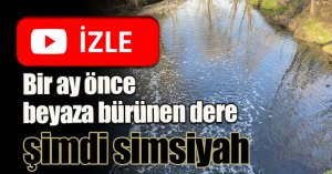 Bir ay önce beyaza bürünen dere şimdi simsiyah