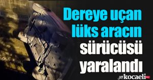 Dereye uçan lüks aracın sürücüsü yaralandı