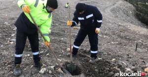 Karamürsel Dereköy’e 1000 ağaç fidanı dikilecek