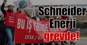 Schneider Enerji grevde!