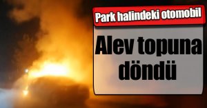 Park halindeki otomobil alev topuna döndü