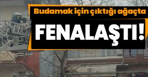 Budamak için çıktığı ağaçta fenalaştı!