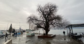 İzmit Körfezi'nin dibinde, 4 buçuk asırdır ayakta duruyor