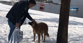 Başiskele’de Soğuk Kış Günlerinde Her Can Önemli