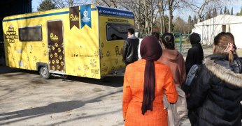 Sokak kedilerine kısırlaştırma karavanı