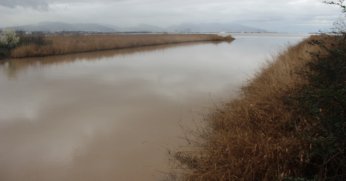 İzmit Körfezi kahverengiye büründü