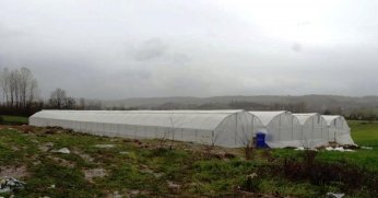 Kandıra Belediyesi’nden önemli tarım projesi