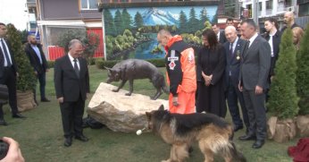 17 Ağustos depreminin kahraman arama kurtarma köpeğinin heykeli açıldı