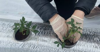 Bu proje tarımda örnek olacak