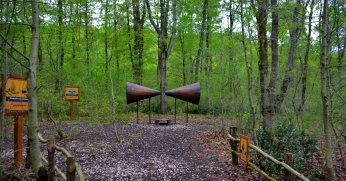 Şehrin gürültüsünden uzaklaşıp ormanın anlattıklarına kulak veriyorlar