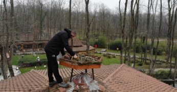 Ormanya’dan engelli leylekler için özel proje