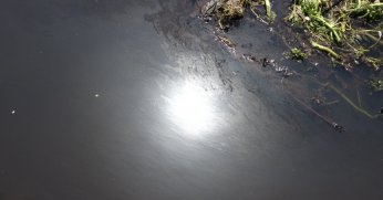 Kocaeli'de kanalın rengi siyaha döndü