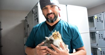 Öksüz yavruların süt annesi