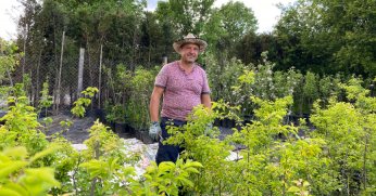 Rüzgarlı havada çiçeklerin akşam sulanması gerekiyor