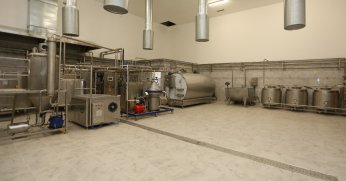 Derince’nin Yeni Markası