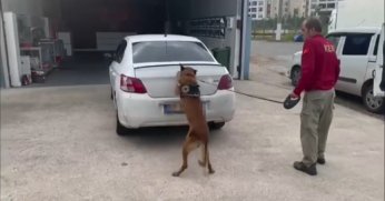 Aracın bagajına gizlenen uyuşturucu böyle bulundu
