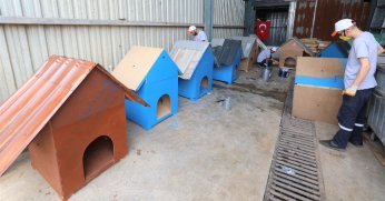 Başiskele’de Atık Malzemeler Sokak Hayvanlarına Yuva Oluyor