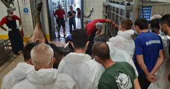 İslami usullere uygun kurban kesimi için eğitim veriliyor