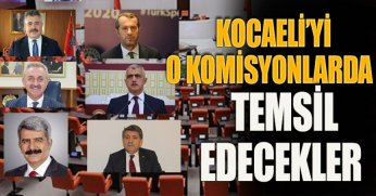 KOCAELİ’Yİ O KOMİSYONLARDA TEMSİL EDECEKLER