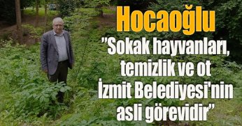 Hocaoğlu ”Sokak hayvanları, temizlik ve ot İzmit Belediyesi'nin asli görevidir”