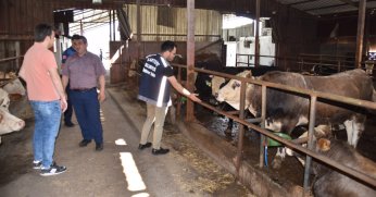 KARTEPE’DE KURBAN SATIŞINA SIKI DENETİM