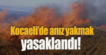 Kocaeli’de andızyakmak yasaklandı!