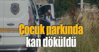 Çocuk parkında kan döküldü