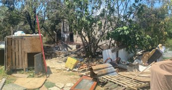 Zeytinlikte yangın çıktı, kulübe ve çok sayıda ağaç küle döndü