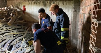 Yılan ihbarı itfaiye ekiplerini harekete geçirdi