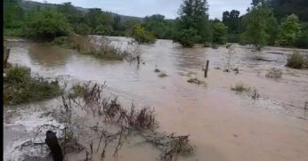 KANDIRA SELE TESLİM OLDU! 