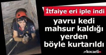 İtfaiye eri iple indi, yavru kedi mahsur kaldığı yerden böyle kurtarıldı