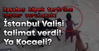 Meclis'in ilk gündemi! 