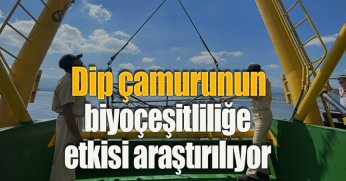 Dip çamurunun biyoçeşitliliğe etkisi araştırılıyor