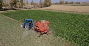 Bakan Yumaklı duyurdu: Pancar üreticisine 734 milyon TL'lik avans ödemesi