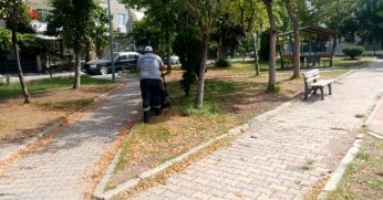 Körfez’de otlar kesiliyor, çimler biçiliyor