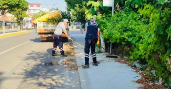 Ekipler daha temiz bir Körfez için çalışıyor
