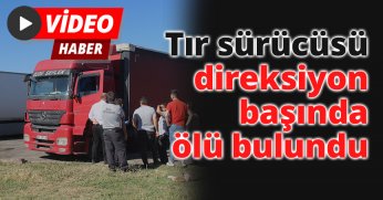 Tır sürücüsü direksiyon başında ölü bulundu