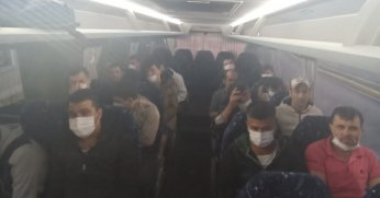 Kocaeli ve çevre illerden yakalanan 29 düzensiz göçmen sınır dışı edildi