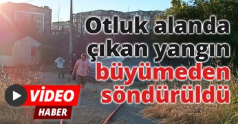 Otluk alanda çıkan yangın büyümeden söndürüldü