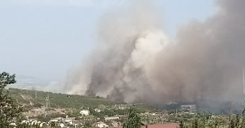 TÜBİTAK'ın ormanlık alanında yangın