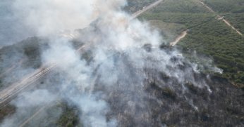 TÜBİTAK yerleşkesinde çıkan yangına 4 uçak ve 2 helikopterle müdahale sürüyor