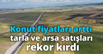 Konut fiyatları arttı, tarla ve arsa satışları rekor kırdı