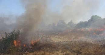 Otluk alanda çıkan yangın 1,5 saatte söndürüldü