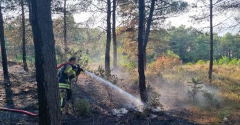 Kocaeli’de orman yangını