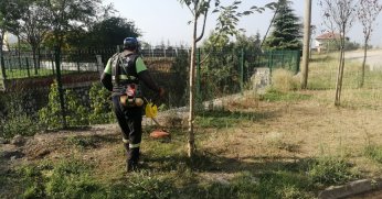 Körfez’de yabani otlarla mücadele sürüyor