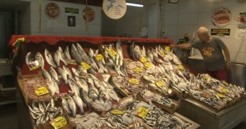 Balıkçılar av sezonundan umutlu