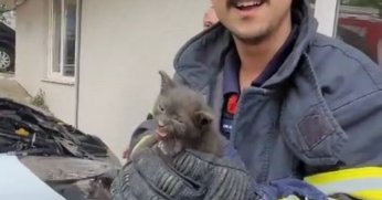 Yaramaz yavru kedi itfaiye ekiplerini uğraştırdı